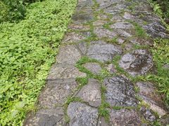 -少华山国家森林公园