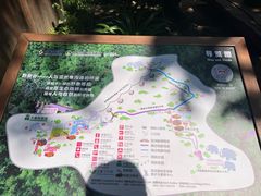 -野象谷景区