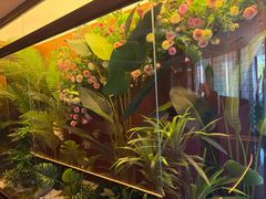-鱼翅楼·津派砂锅鱼翅(水上公园店)