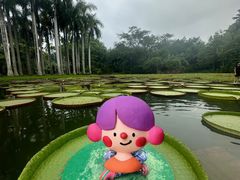 -中国科学院西双版纳热带植物园