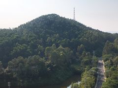 -美的鹭湖森林度假区