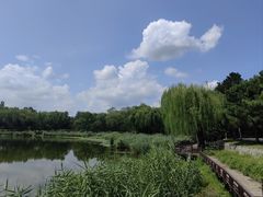 -北坞公园