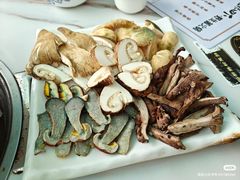 -蘑统田下·野生菌火锅