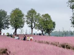 -汉长安城未央宫国家考古遗址公园