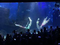-江和美海洋公园