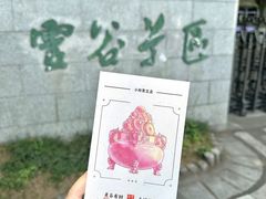-灵谷景区