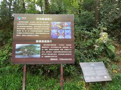 -常德桃花源景区