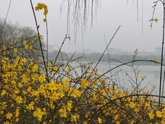 -河北省园博园