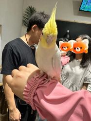 -Zoolung Zoolung动物主题公园(海信广场店)