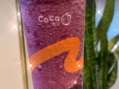 -CoCo都可(国芳百货店)