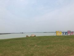 -江苏省泗阳县成子湖旅游度假区综合服务中心-停车场