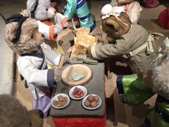 -成都泰迪熊博物馆