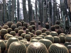 -南山植物园