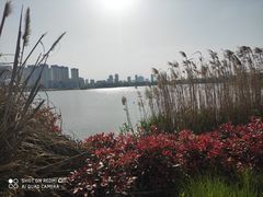 -澹台湖公园