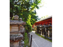 -奈良公园