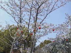 -自然谷恐龙园