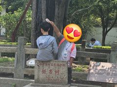 -上海佘山国家森林公园天马山园