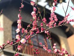 -思南公馆
