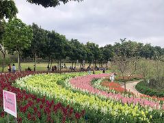 -天适樱花悠乐园