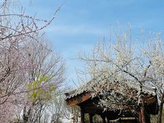 -三里河公园