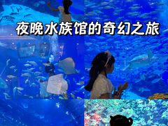 -成都浩海立方海洋公园