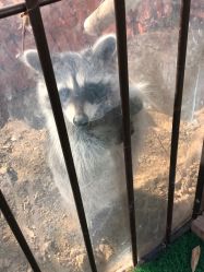 -萌宠亲子动物乐园(槐房万达店)