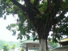 -悦城龙母祖庙