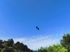 -南漈山