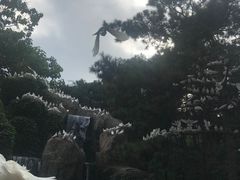 -燕塞湖鸟语林景区