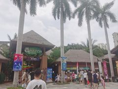 -亚马逊丛林水乐园