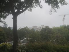 -光明港公园