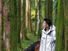 -武陵山森林公园