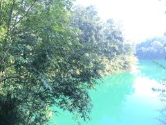 -广州市流溪河国家森林公园