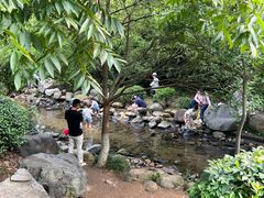-白马涧龙池景区