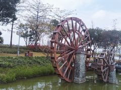 -顺峰山公园