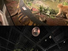 -陕西自然博物馆