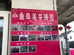 -小鱼草莓采摘园农家乐·小鱼餐厅