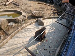 -无锡动物园·太湖欢乐园