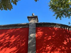 -天津大悲禅院