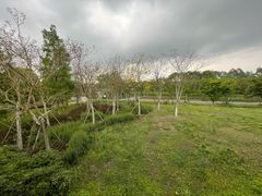 -白鹭湾湿地公园