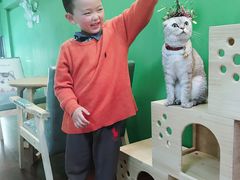 -李小姐の猫咖啡馆(五角场店)