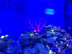 -成都浩海立方海洋公园