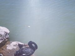 -天津东丽湖风景区