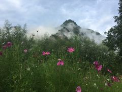 -青峰峡国家森林公园