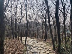 -金陵矩阵(聚宝山公园店)