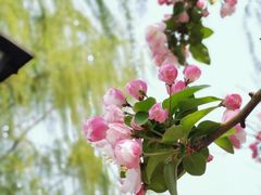 -三里河公园