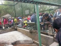 -广东茂名森林公园