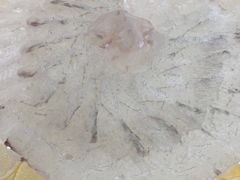 -鱼市酒店(威海水产批发市场店)