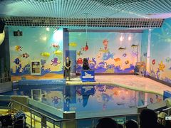 -太平洋海底世界