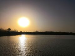 -东郊湿地公园